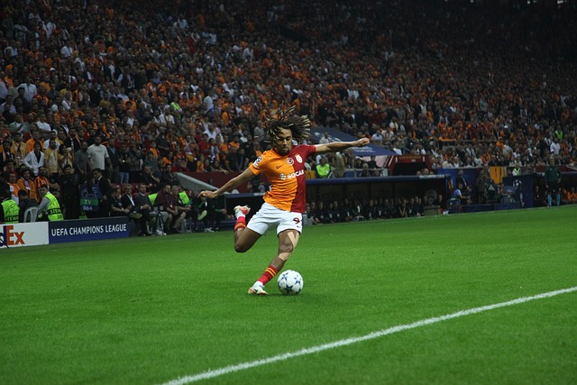 贸易的一大 贸易的一大