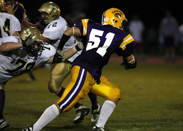 的重要原因 的重要原因