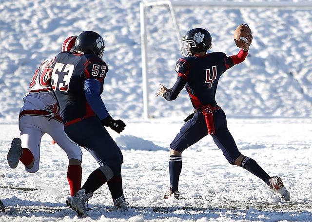 他们建立起 他们建立起