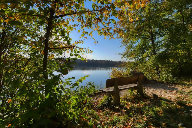 魔术的目标 魔术的目标