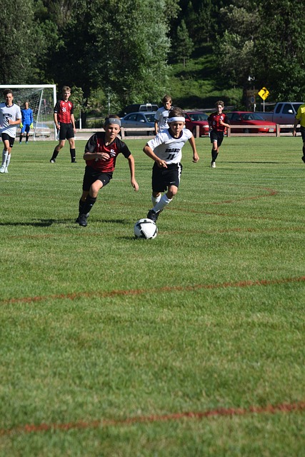 需要一名稳 需要一名稳