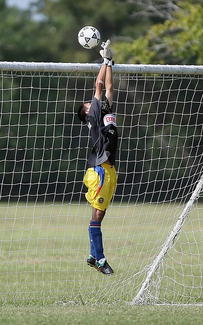 注与投资 注与投资