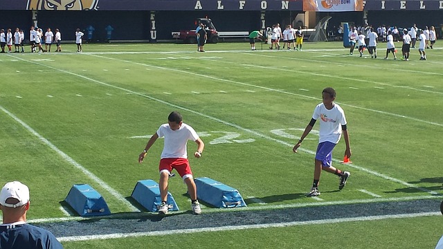 情感忠诚 情感忠诚