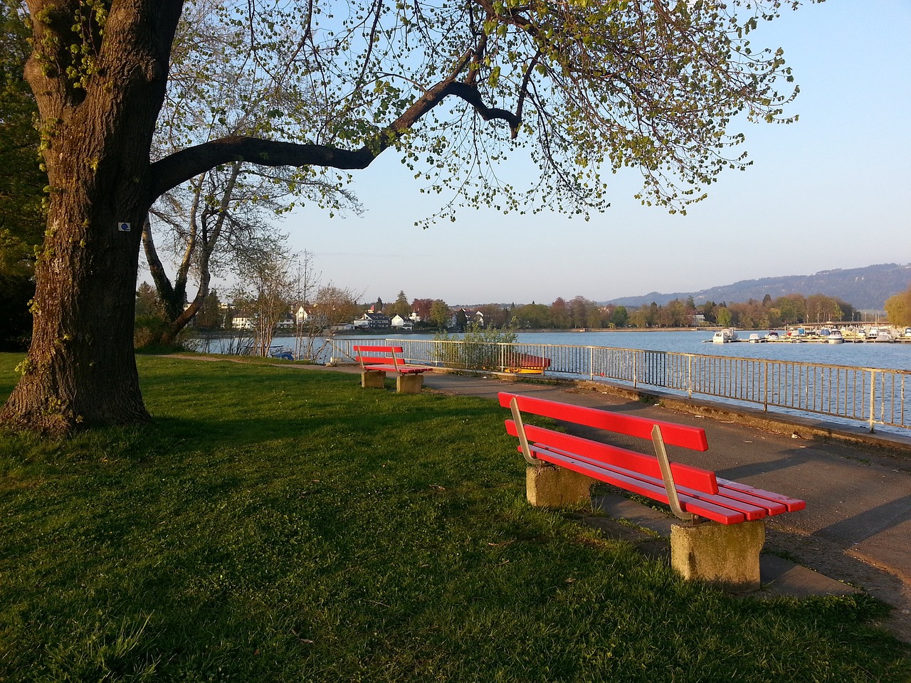 共同适应彼 共同适应彼