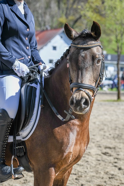 球一如既往 球一如既往